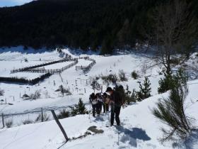 photo coins arrondis